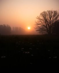 A soft, dreamy, high-contrast, and low-key photograph that captures a stunning sunset over a spring wildflower meadow. The im