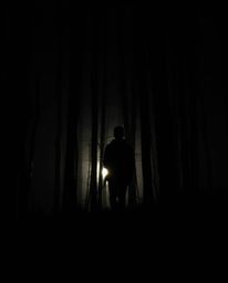 Explore the captivating fusion of nature and digital distortion with this silhouetted photograph. The scene features a forest
