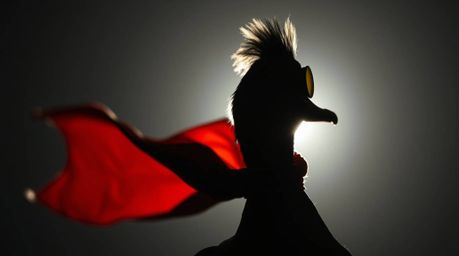 A captivating close-up silhouette photograph showcases a duck donning a zany superhero costume. Backlit with a strong, moody 
