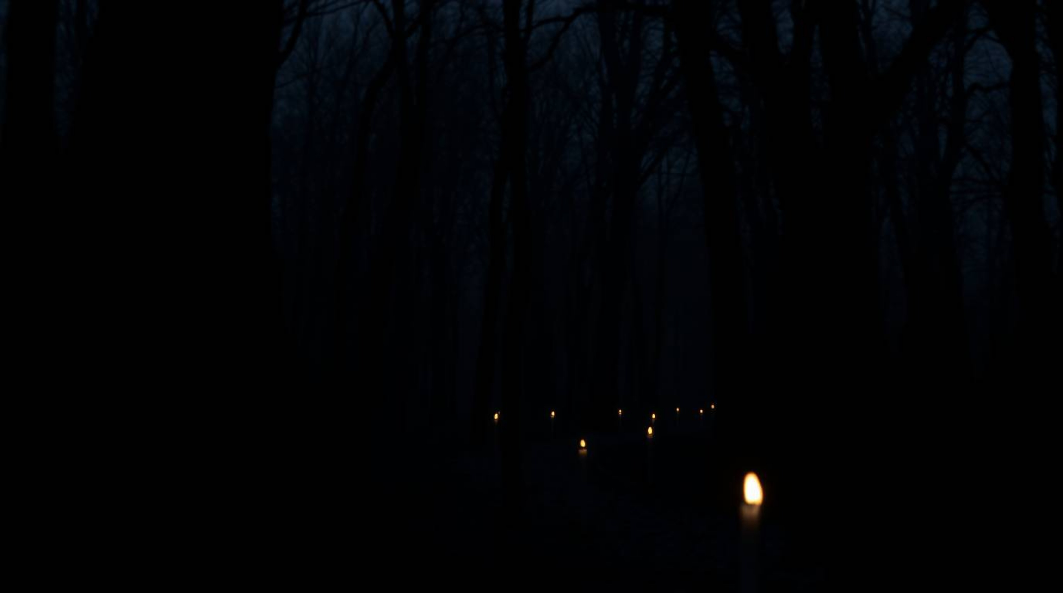 Experience a dramatic chase through a looping forest in this moody photograph. The image is characterized by low contrast, a 