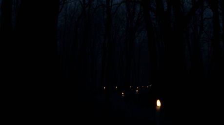 Experience a dramatic chase through a looping forest in this moody photograph. The image is characterized by low contrast, a 