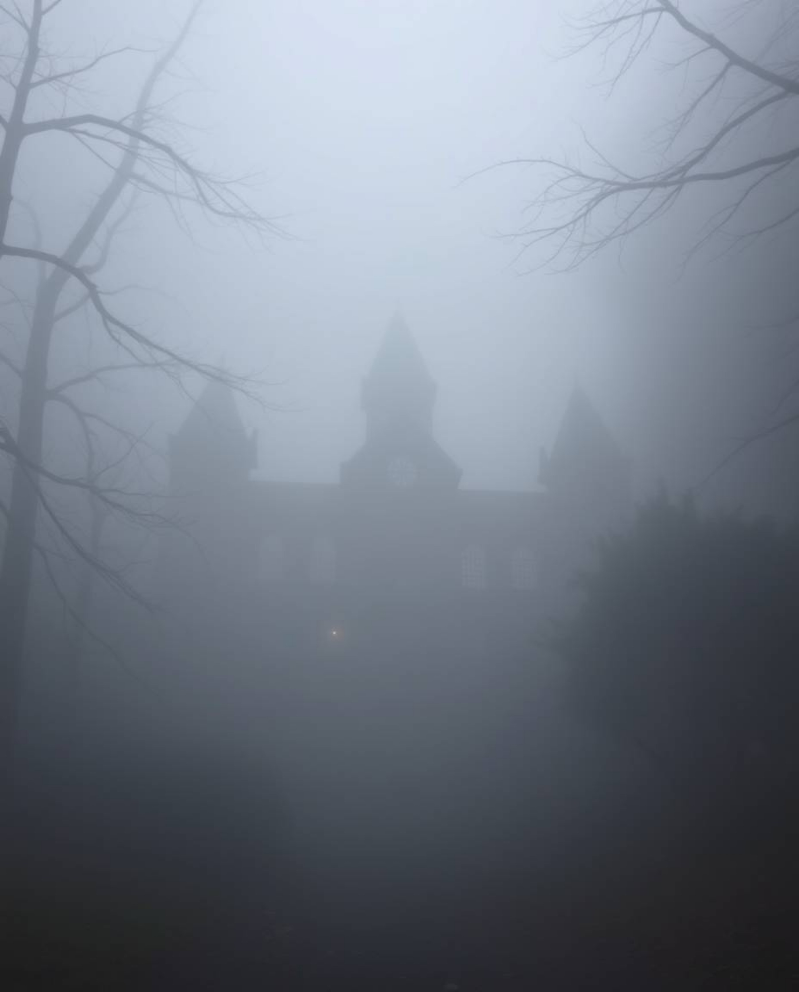 Immerse yourself in a world of thick, foggy surroundings and an ethereal spiritual vibe, where a magical school filled with y