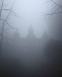 Immerse yourself in a world of thick, foggy surroundings and an ethereal spiritual vibe, where a magical school filled with y