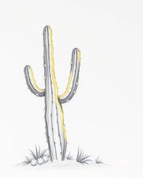 A hand-drawn sketch captures a desert cactus glowing in the last rays of the sun, further illuminated by the warm glow of can