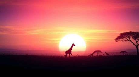 A captivating ethereal digital painting depicts a breathtaking sunset over a serene African savanna. Silhouetted giraffes sta