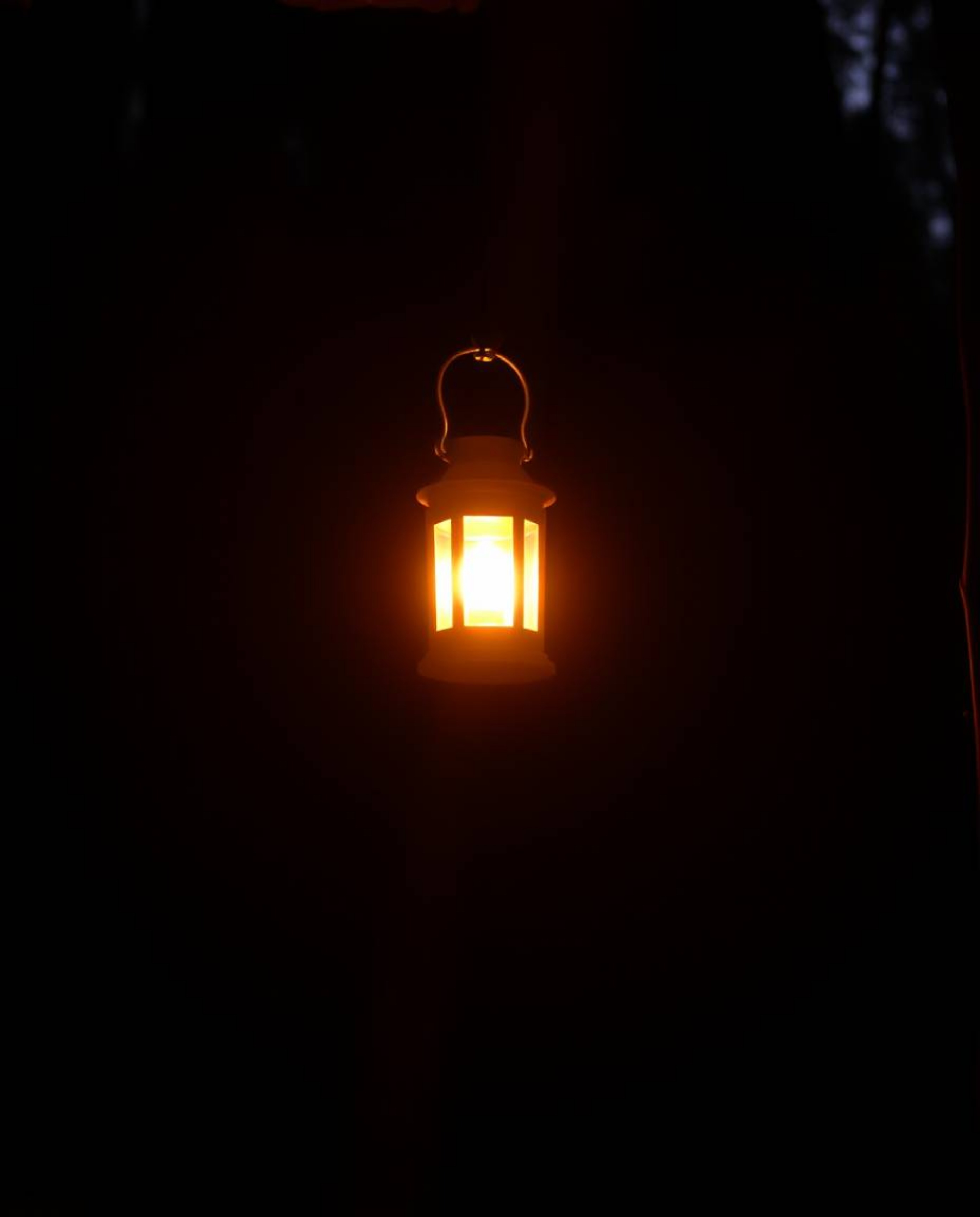 Capture the serene beauty of a glowing lantern illuminating a dark forest during the golden hour.  Warm reds, oranges, and ye