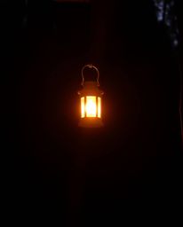 Capture the serene beauty of a glowing lantern illuminating a dark forest during the golden hour.  Warm reds, oranges, and ye