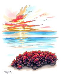 A charming hand-drawn sketch in a color sketchnote style depicts a colorful sky over a coral reef at low tide. The scene is b