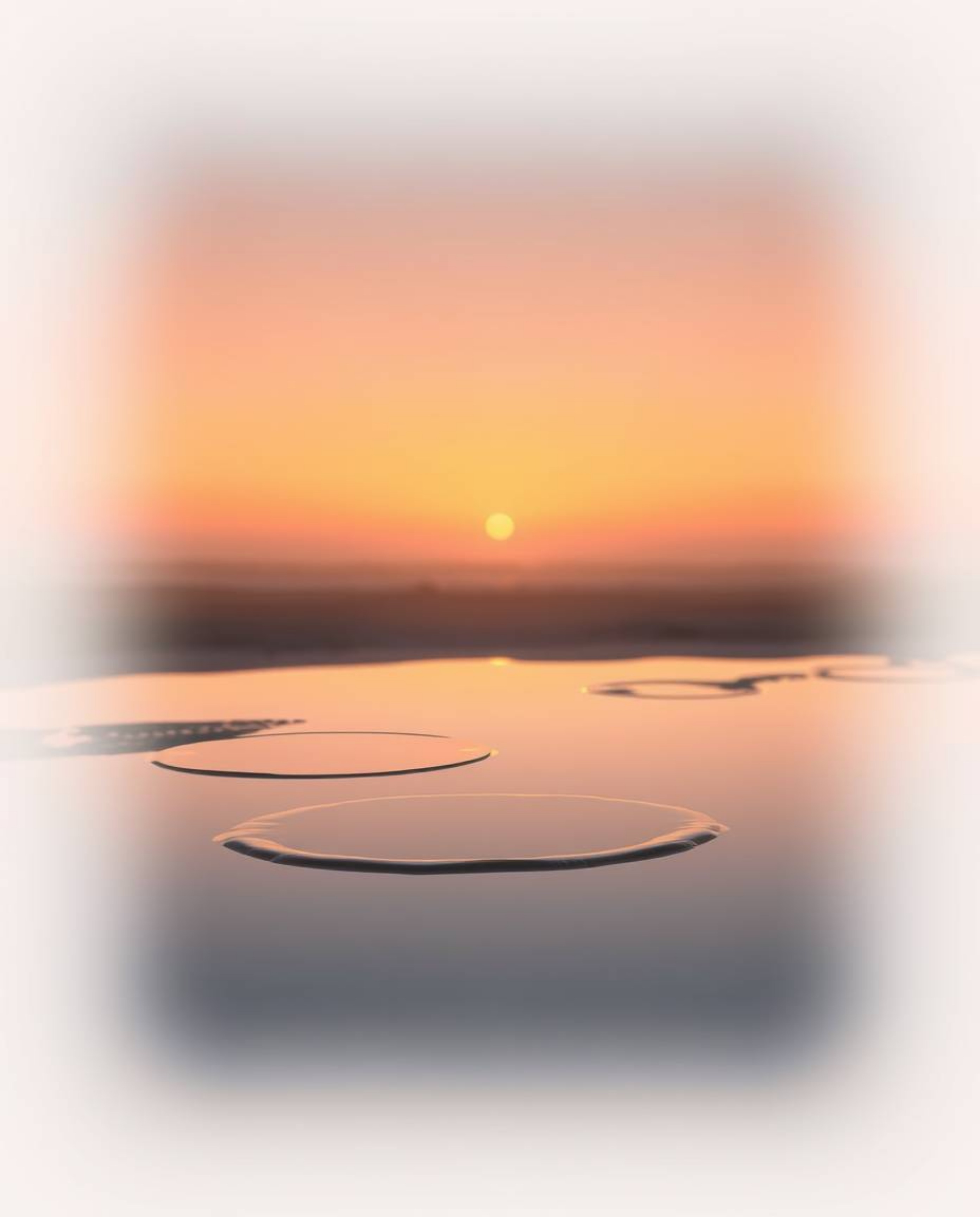 A modern flat design image depicts a sunset sky mirrored in tidal pools on a beach, enveloped in a soft cinematic haze. The a