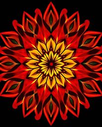Explore the beauty of geometric floral mandalas featuring vibrant and warm colors like reds, oranges, and yellows. These symm