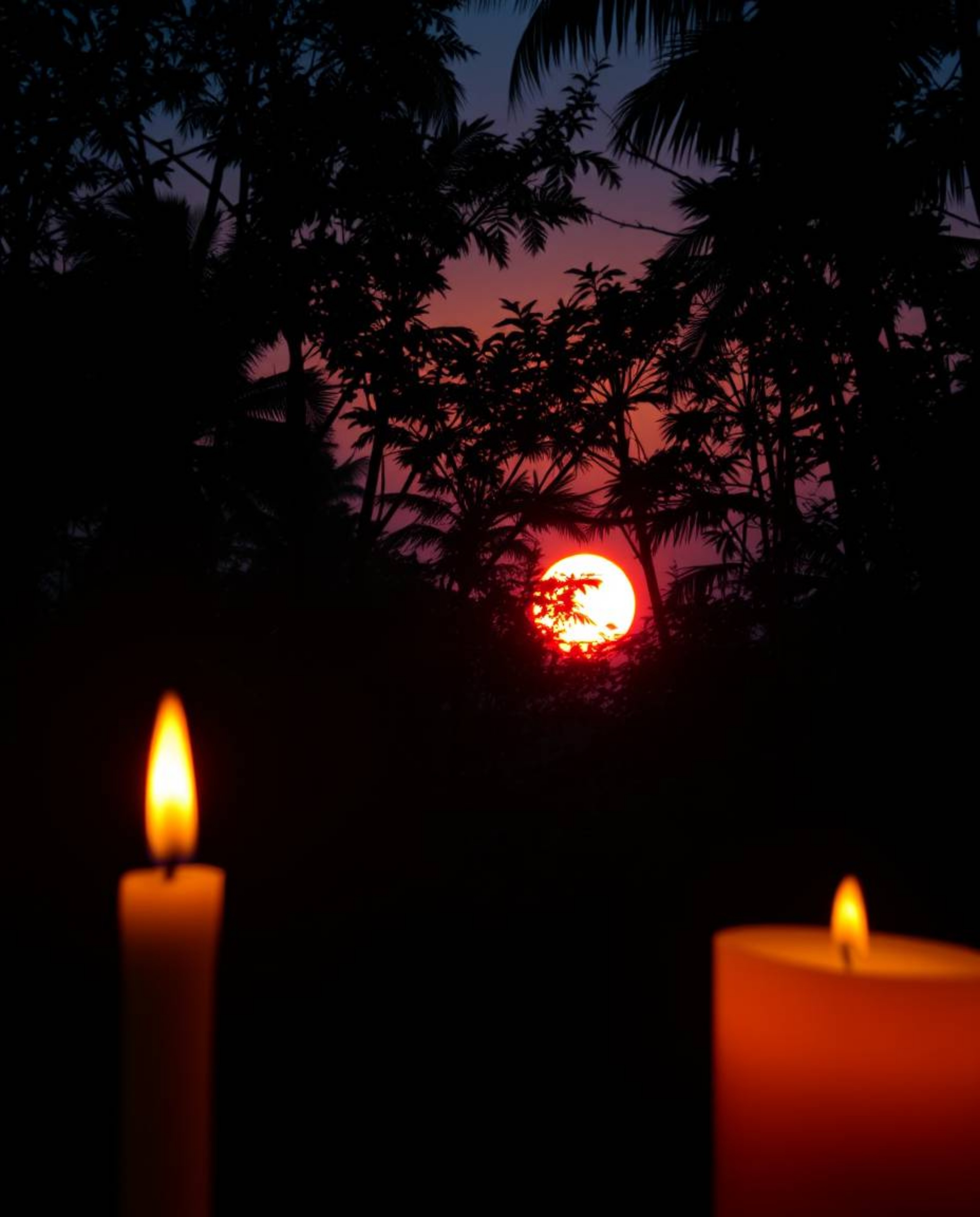Warm candlelight illuminates a sunset viewed through a dense jungle canopy, casting an eerie and creepy atmosphere over the s