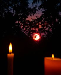 Warm candlelight illuminates a sunset viewed through a dense jungle canopy, casting an eerie and creepy atmosphere over the s