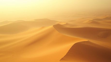 Experience the breathtaking beauty of a golden desert sunset with this cinematic shot.  The soft haze and low contrast create