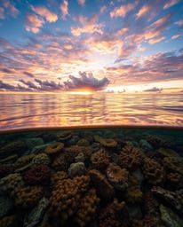 Warm golden hour light illuminates a coral reef at low tide under a colorful sky. This artwork captures the serene moments ju