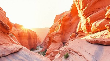 A captivating watercolor painting depicts a rocky canyon bathed in the warm hues of a setting sun.  The artist masterfully em