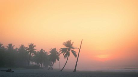 Experience a serene tropical beach sunset scene featuring swaying palm trees.  The image boasts a smooth gradient transition,