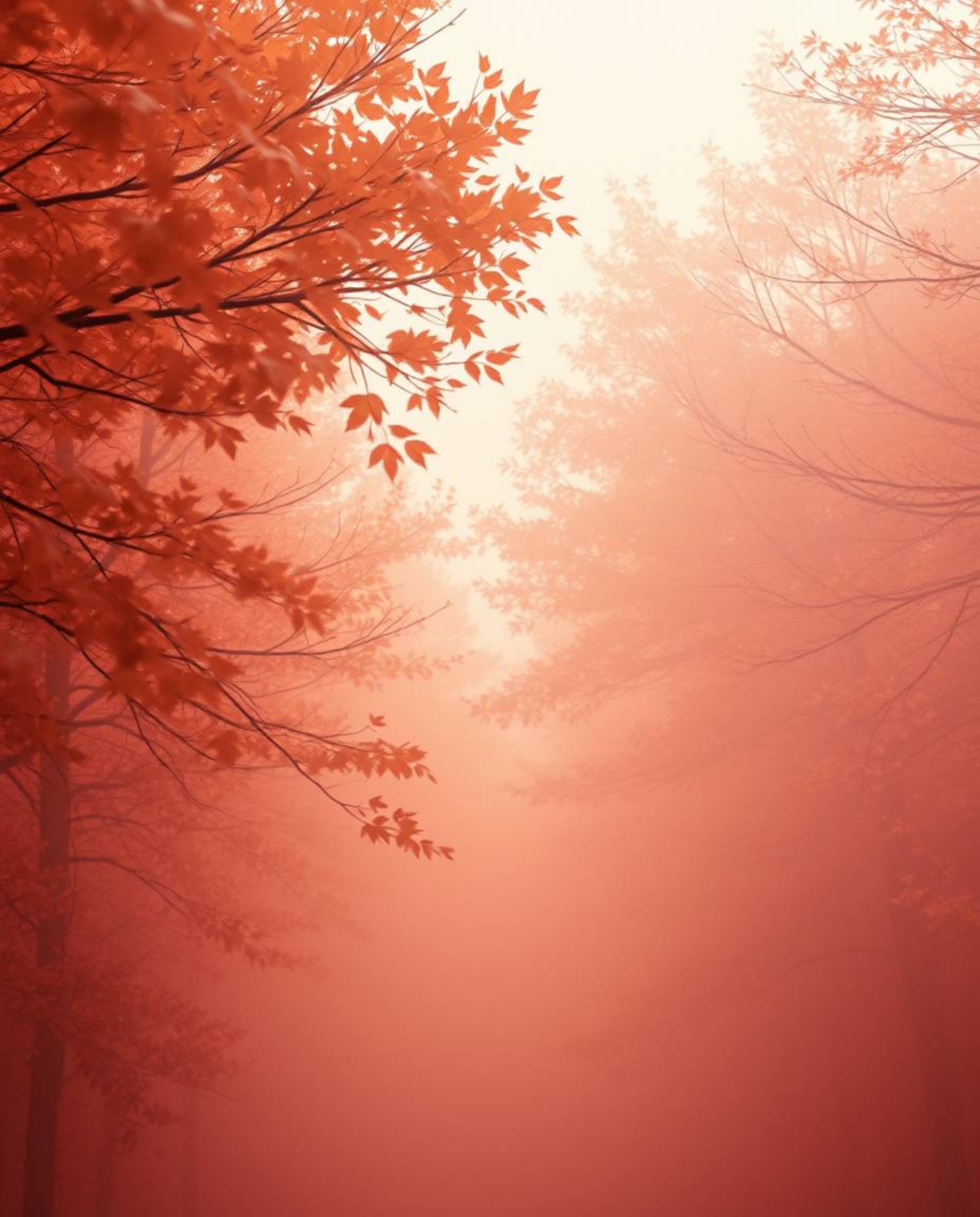 Experience the breathtaking beauty of a cosmic explosion, rendered in soft cinematic haze and warm autumn colors.  Witness co
