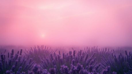 Immerse yourself in a dreamy, mystical landscape featuring lavender fields bathed in the soft glow of a pink sky.  The hazy a