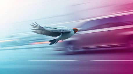 Experience the thrill of dynamic motion with this digital art piece, featuring a fast-running bird zooming past traffic. Seam