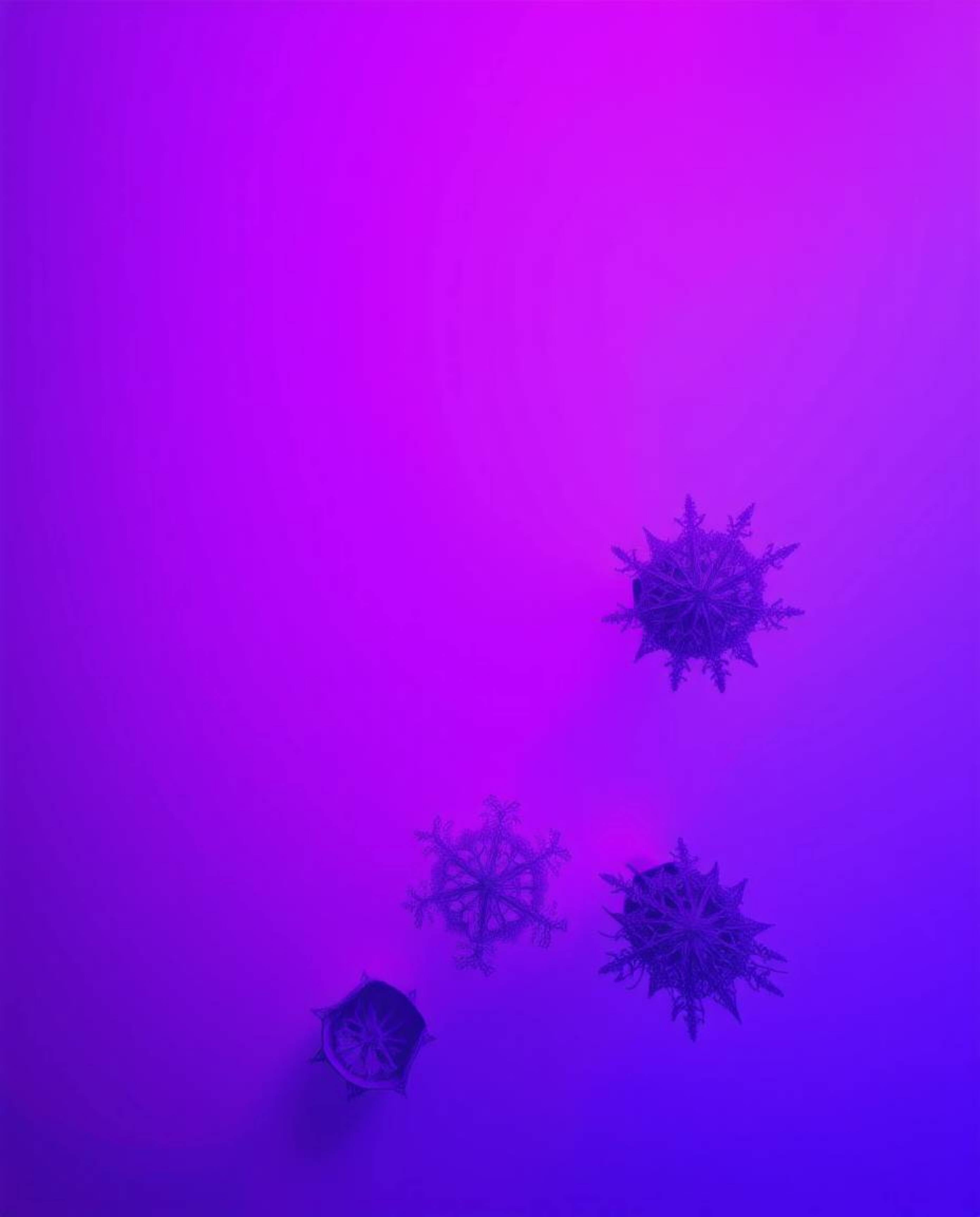 Experience a captivating scene in deep ultraviolet and vivid purple hues, presented from an overhead bird's-eye view. This hi