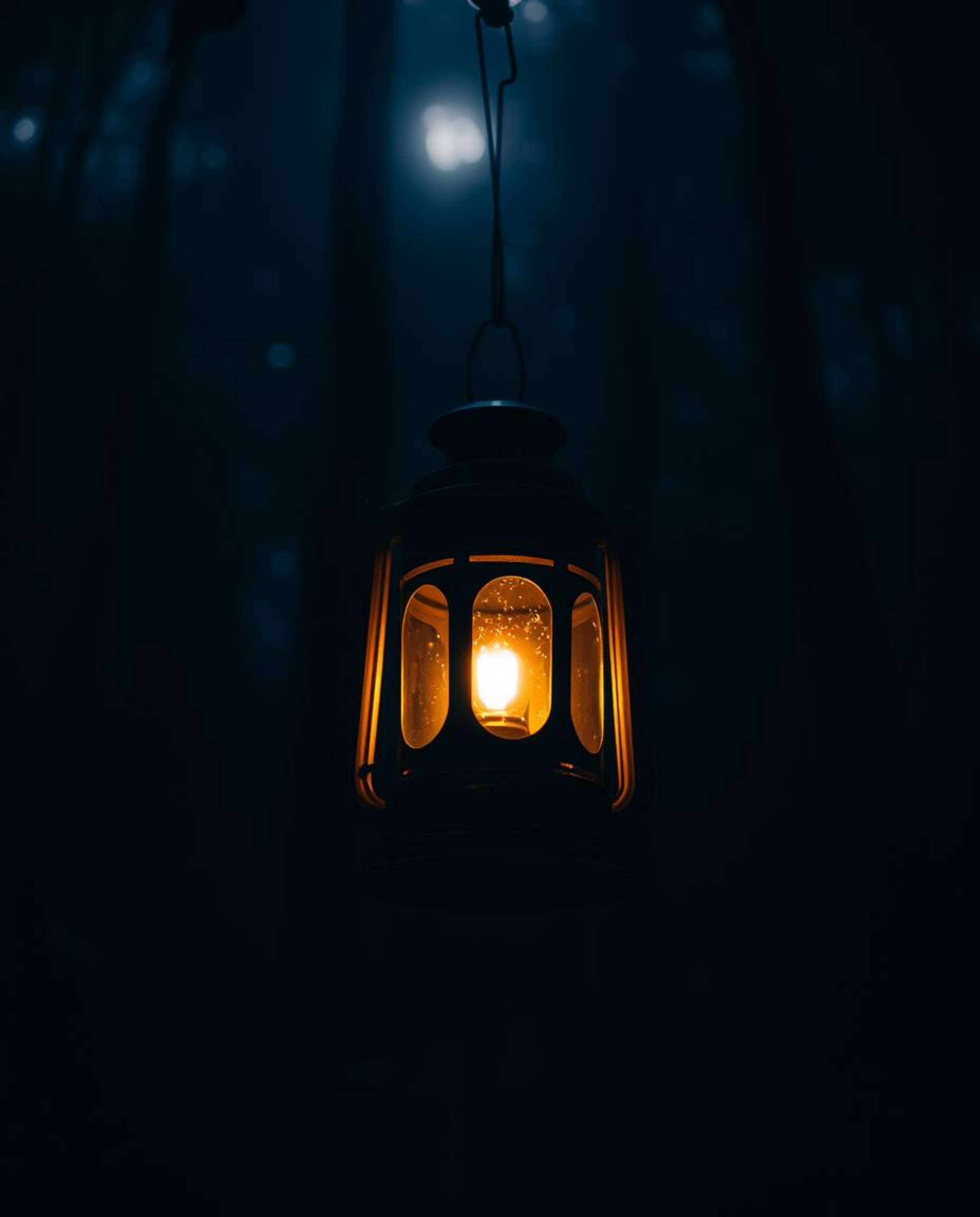 Experience the intense drama of a glowing lantern in a dark forest, captured with high contrast lighting. This evocative imag