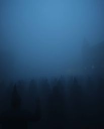 Explore a mysterious magical school teeming with young wizards, veiled in a dense, black fog where darkness and deep shadows 