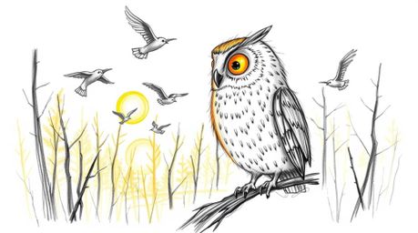 A heartwarming hand-drawn sketch in the style of Pixar depicts a gentle, blind owl with soft feathers guiding a flock of bird