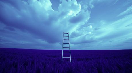 Explore a minimalist scene featuring a silver ladder standing alone in an open field beneath a wide, cloudy sky. Captured in 