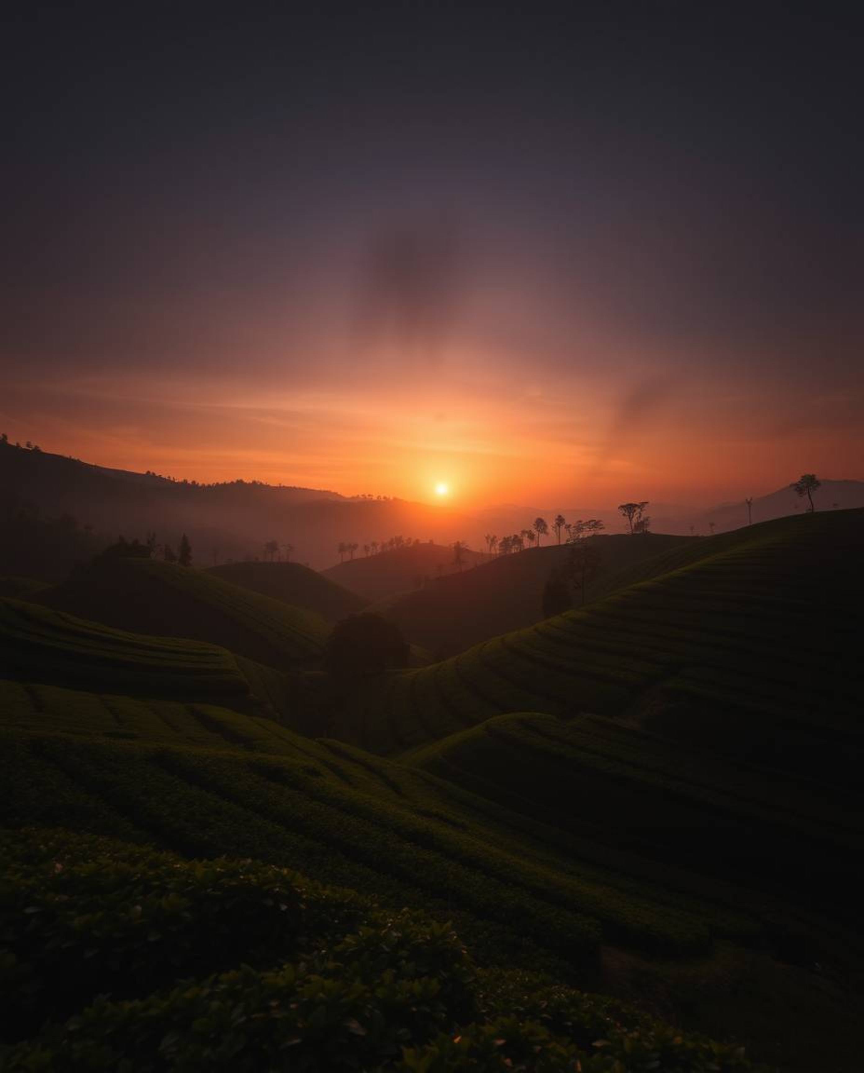 A long-exposure photograph depicting a sunset over terraced tea plantations, emphasizing hard light, dark tones, unsettling d