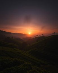 A long-exposure photograph depicting a sunset over terraced tea plantations, emphasizing hard light, dark tones, unsettling d