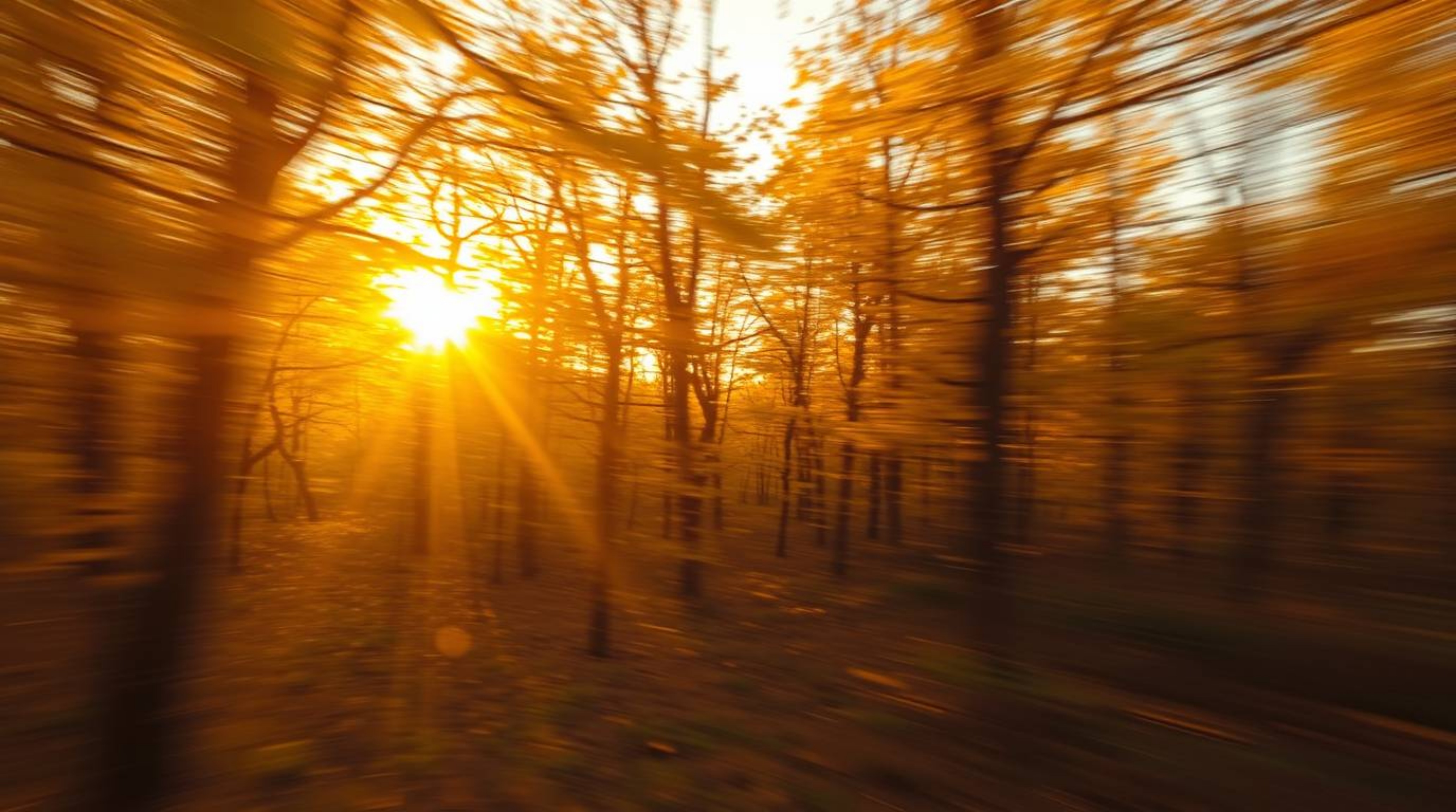 Immerse yourself in a dreamlike autumn forest scene, where golden leaves are bathed in the warm glow of a setting sun. Blurre