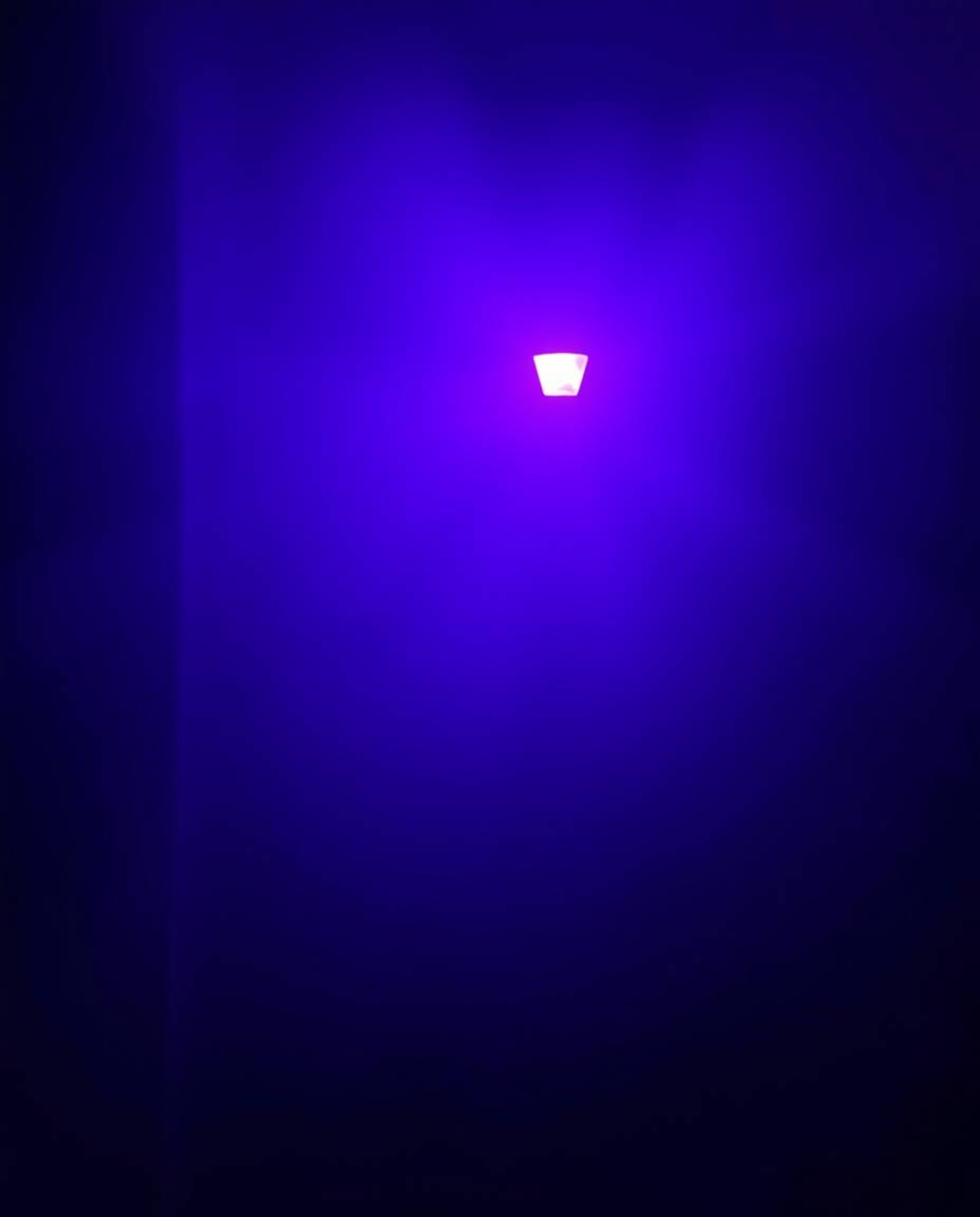 Experience a scene bathed in deep ultraviolet hues and gentle soft light, creating an ethereal and spiritual vibe.  Eyes watc