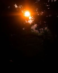 A high-angle perspective photograph showcasing a sunset as it filters through a dense jungle canopy. The scene is bathed in a
