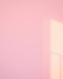 A stunning professional photograph bathed in the warm glow of golden hour light.  Soft, gradient textures blend delicate pink