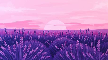 This artwork features a bold acrylic painting depicting lavender fields illuminated by a dreamy pink sky. The piece showcases