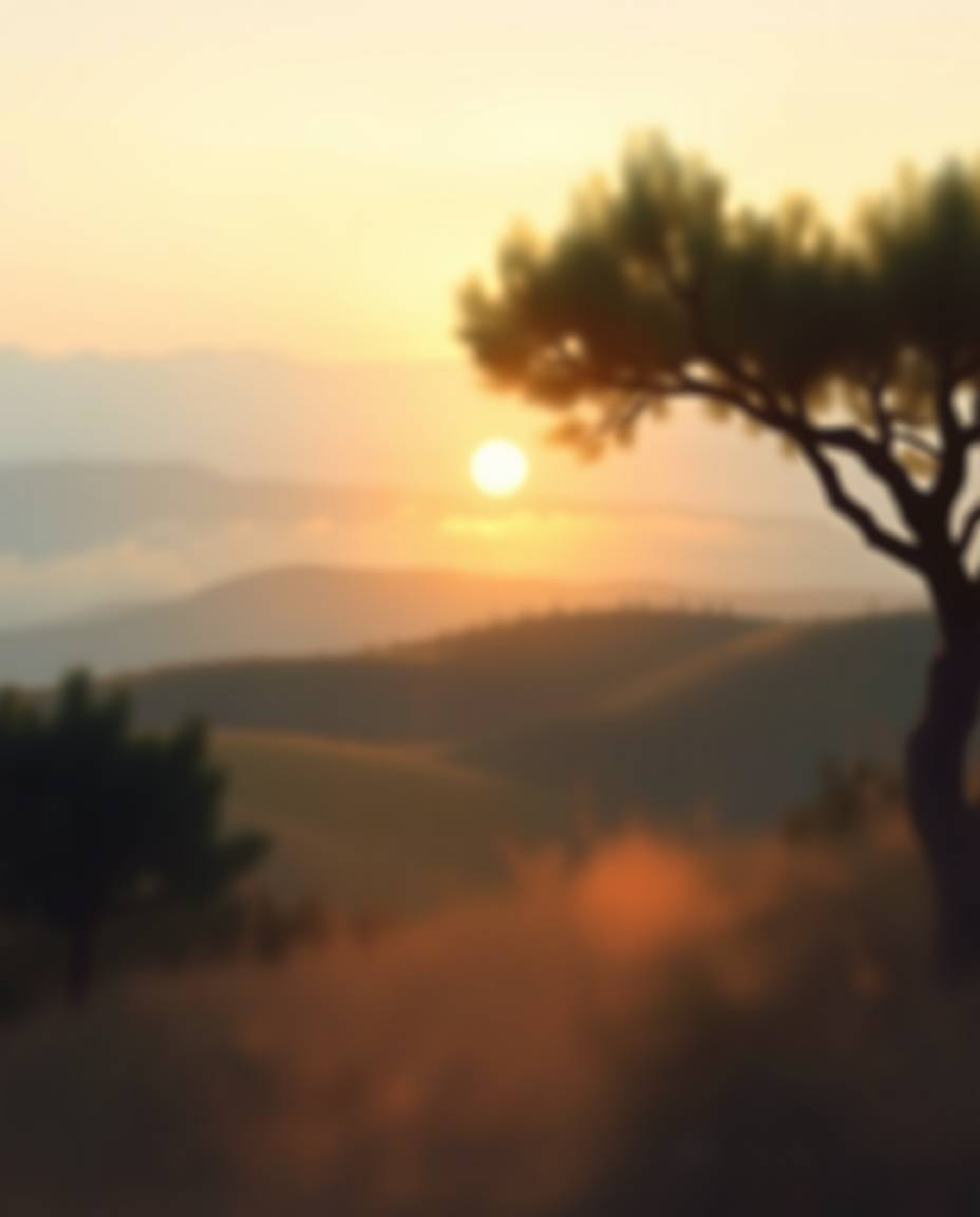 This is a dreamy digital painting of a Tuscan sunset over misty rolling hills. The artwork is bathed in the warm glow of the 