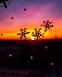 A stunning visual of silhouetted snowflakes falling during a vibrant sunset. The scene is powerfully back-lit, creating a bea