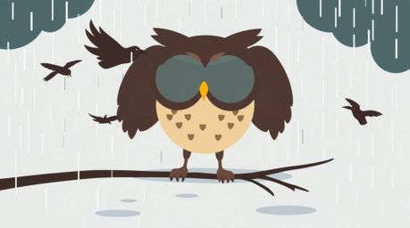 A modern flat design presents a Pixar-style blind owl, inspiring birds to fly amidst a wet and rainy atmosphere. The image em
