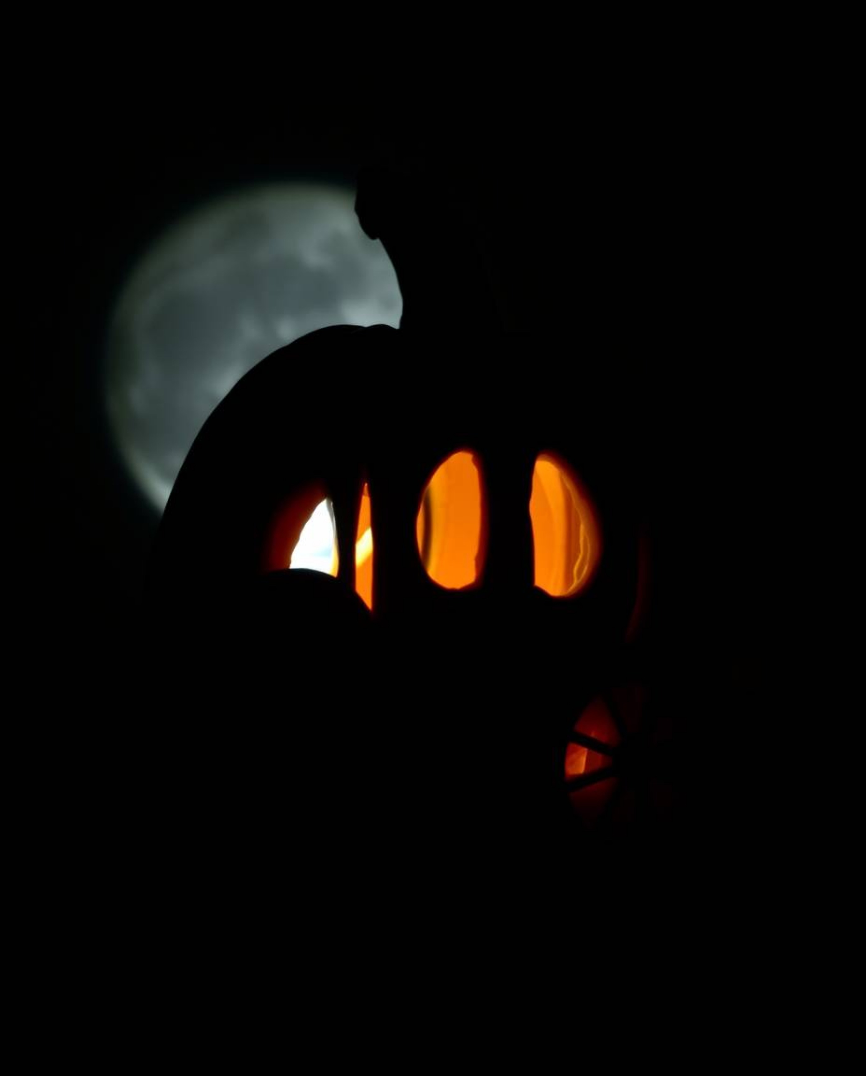 Silhouetted against an eerie backlighting, a pumpkin undergoes a mesmerizing transformation into a carriage, evoking a dark a