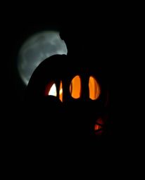 Silhouetted against an eerie backlighting, a pumpkin undergoes a mesmerizing transformation into a carriage, evoking a dark a