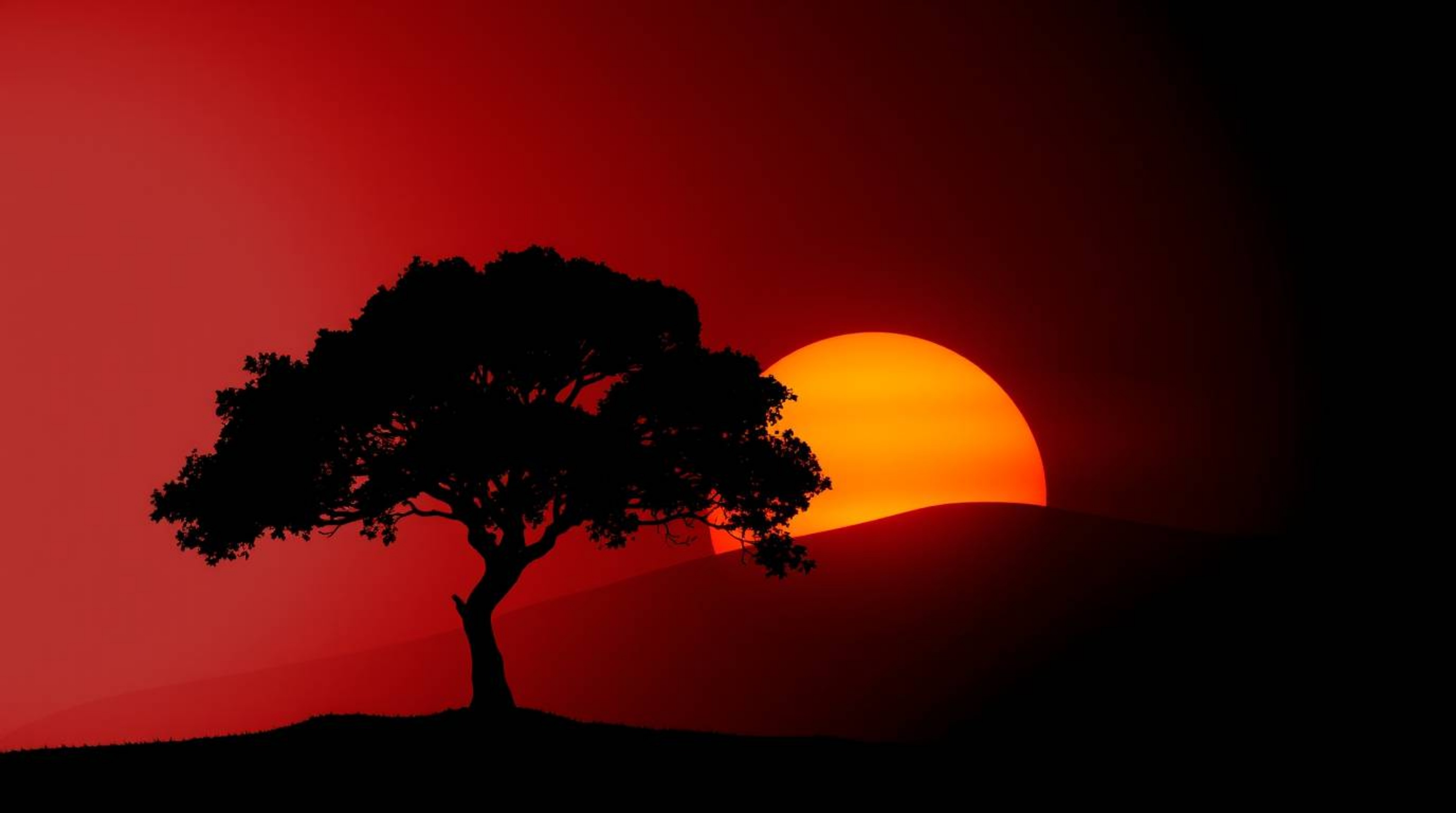 A captivating artwork featuring a lone tree silhouetted against a fiery sunset, rendered with strong contrasts and deep shado