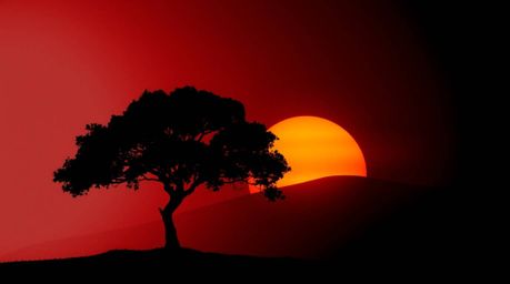 A captivating artwork featuring a lone tree silhouetted against a fiery sunset, rendered with strong contrasts and deep shado