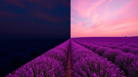 A stunning photograph showcasing lavender fields bathed in the ethereal glow of a dreamy pink sky. The image employs a distin