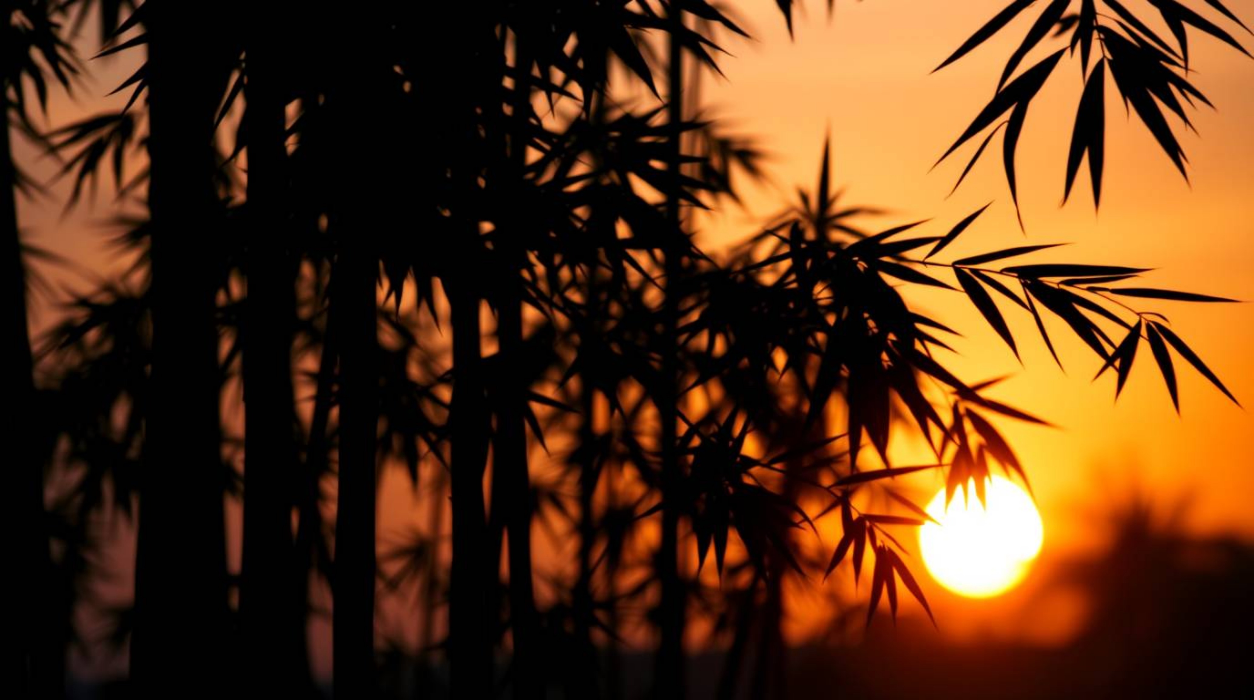 A breathtaking image captures a bamboo forest silhouetted against a warm sunset, employing a rich terracotta and cool teal co