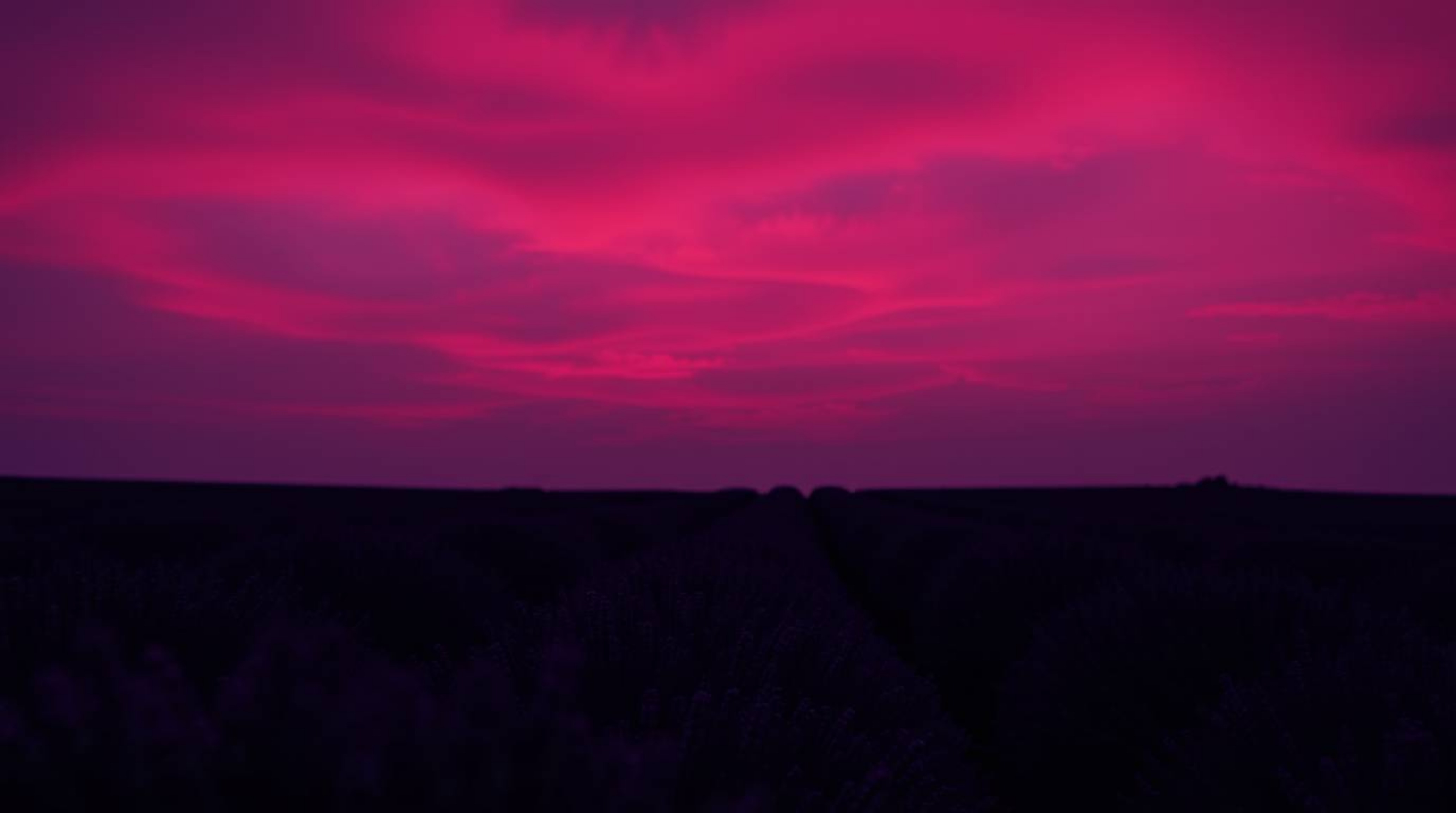 Explore stunning visual concepts with high contrast low-key imagery featuring rich burgundy and deep blue tones. Experience