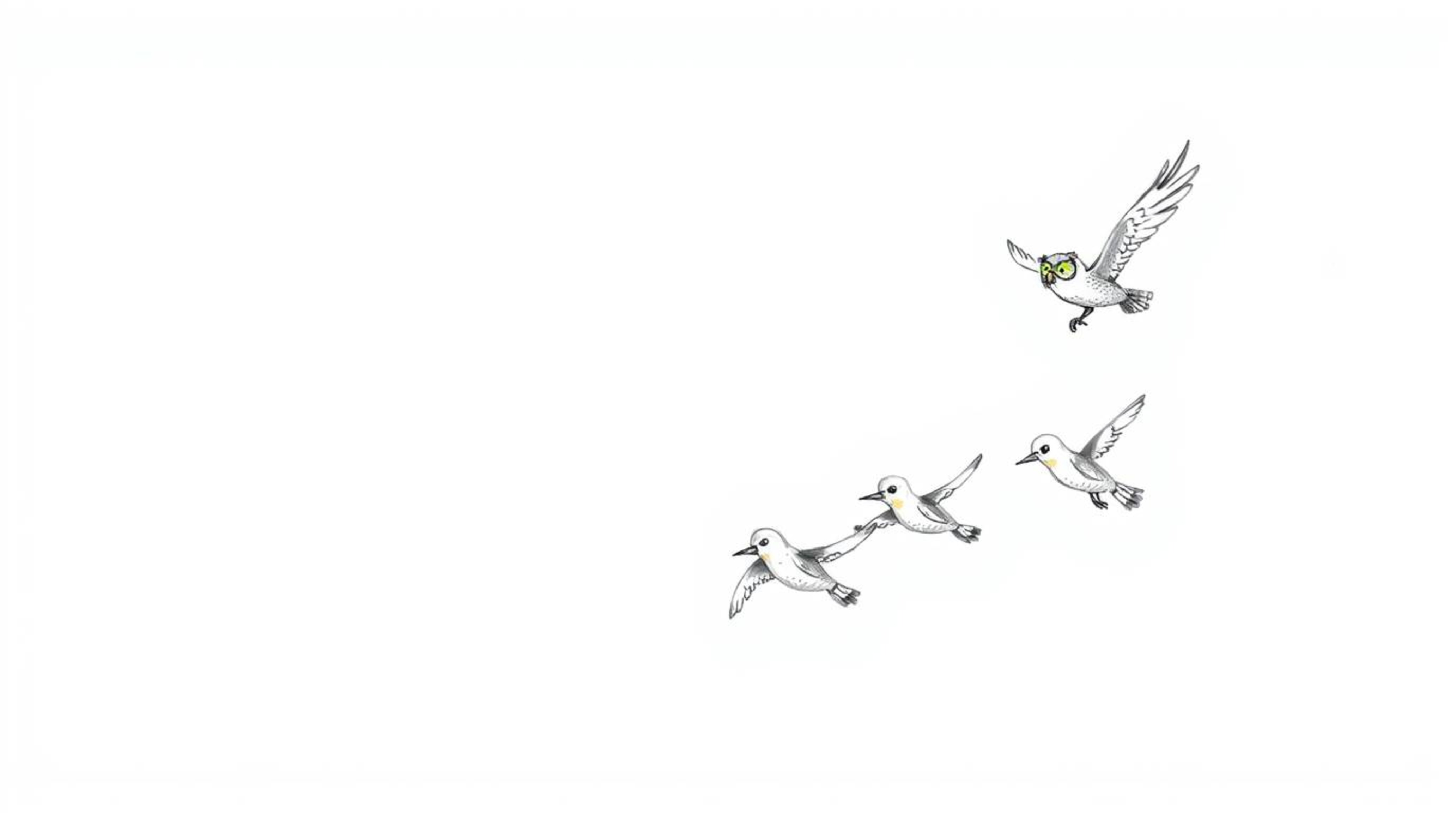 A heartwarming Pixar-inspired sketch depicts a blind owl gracefully soaring mid-flight, guiding a group of birds in their fly