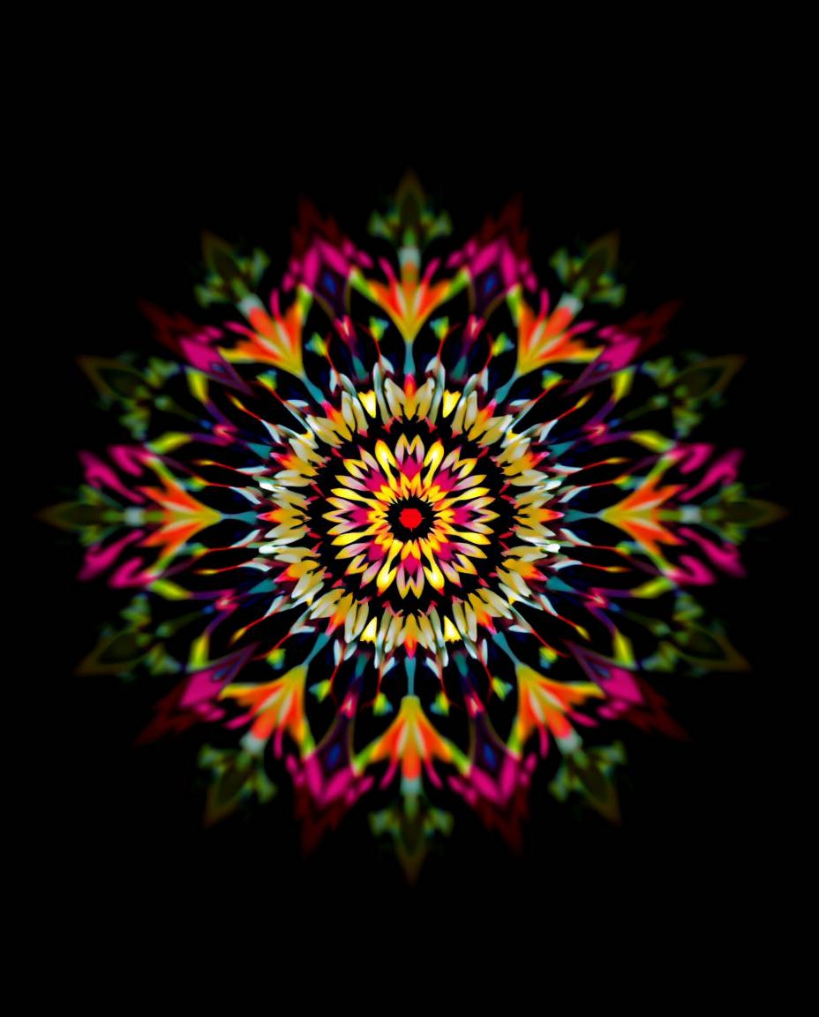 Experience the mesmerizing effect of a geometric floral mandala, where contrasting chiaroscuro lighting and dynamic motion cr