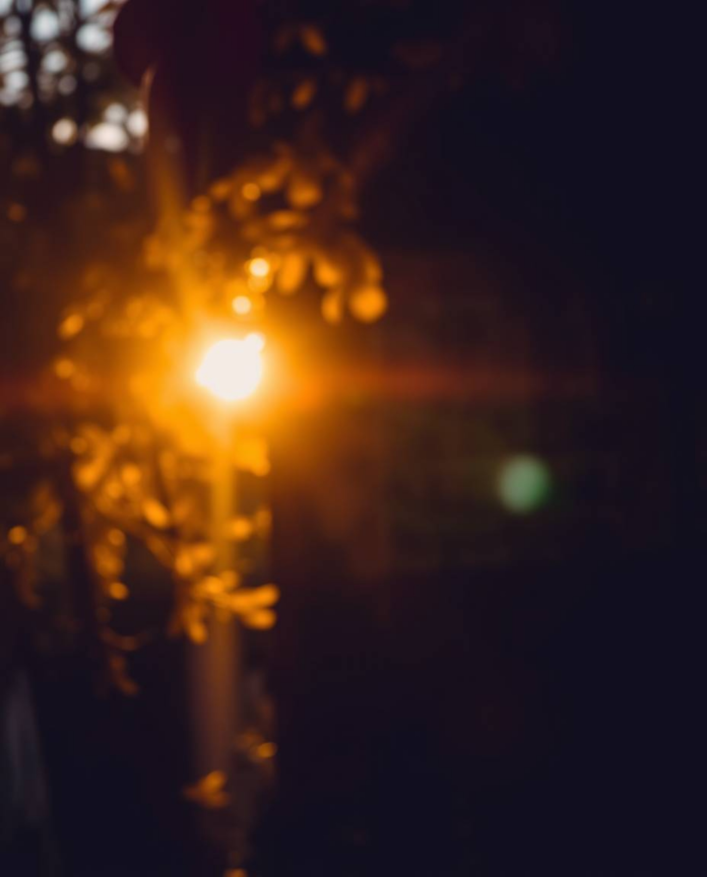 Capture the warm embrace of autumn with this captivating image.  Silhouetted figures are dramatically highlighted against a b