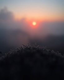 An extreme macro close-up of a small subject within a thick, foggy setting, showing rich deep teal hues against the backdrop 