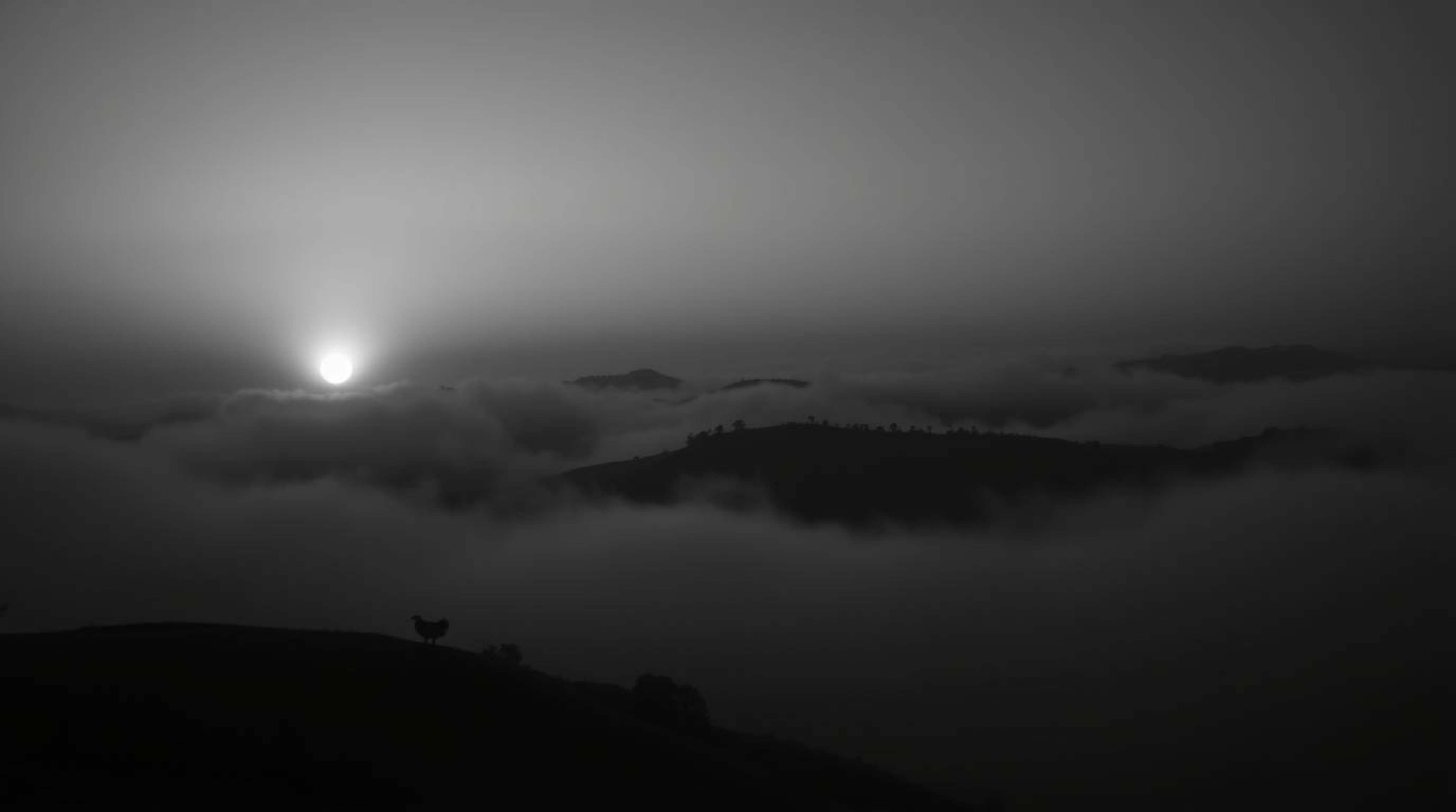 A stunning black and white extreme macro photograph captures the ethereal beauty of fog-covered hills at sunset. The image e